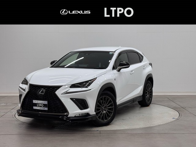 NX300 F SPORT