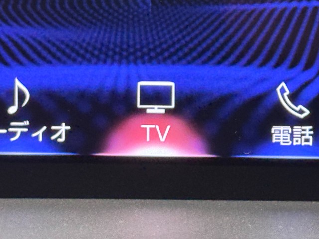 レクサス NX300 F SPORT
