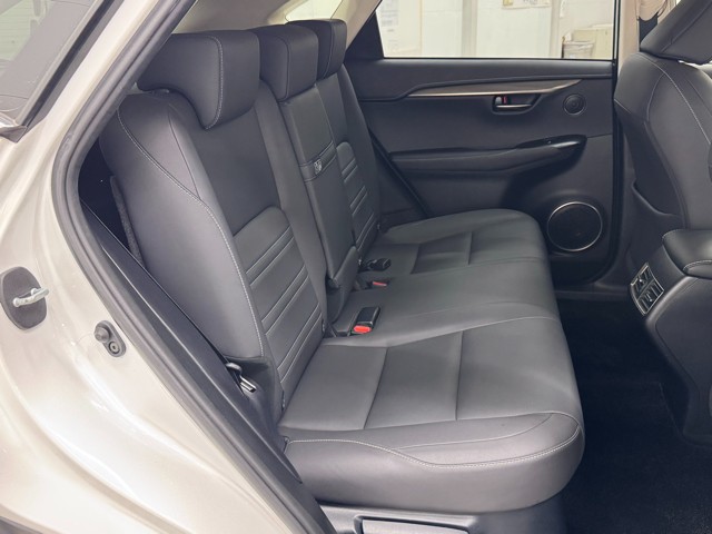 レクサス NX300h I-PKG