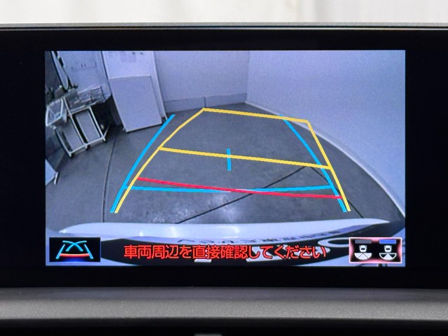 レクサス NX300h I-PKG