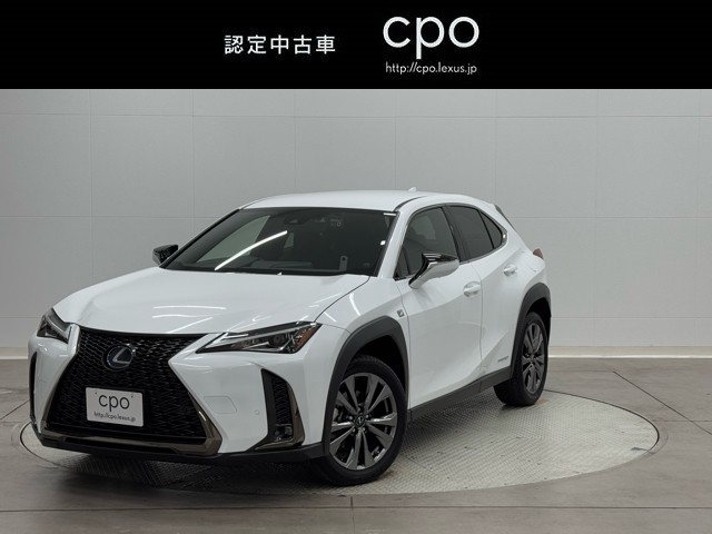 UX250h FSPORT