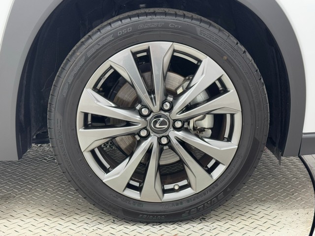 レクサス UX250h FSPORT