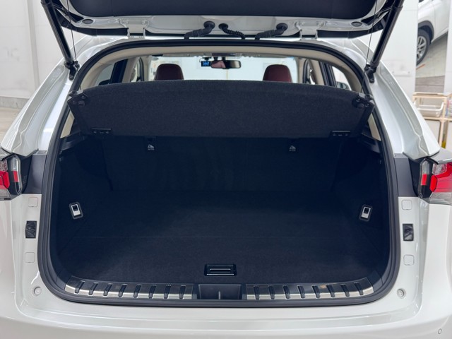レクサス NX200t VER-L