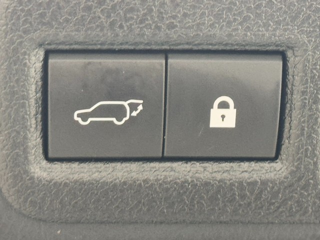 レクサス NX300h F SPORT