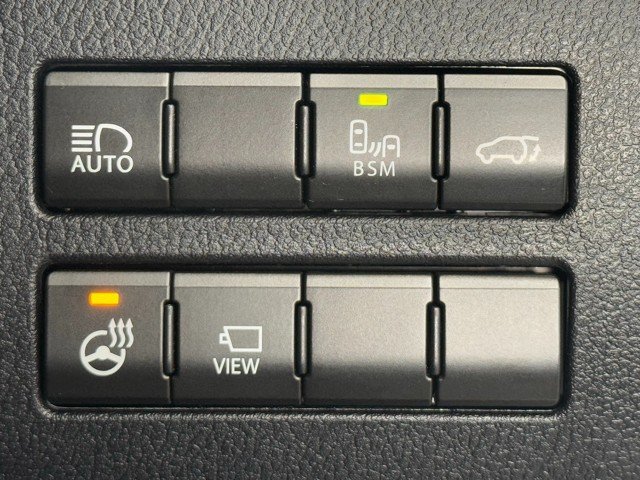 レクサス NX300 スパイス&シック