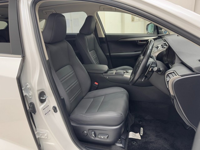 レクサス NX300 スパイス&シック