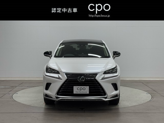 レクサス NX300 スパイス&シック