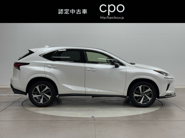 レクサス NX300 スパイス&シック