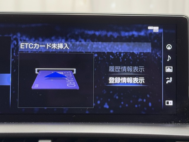 レクサス NX300 スパイス&シック