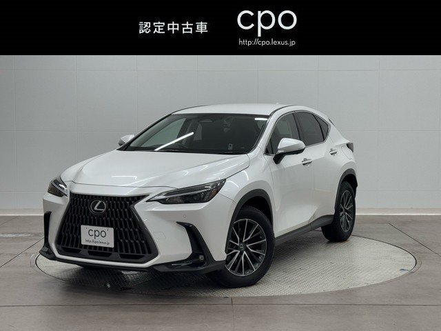 NX350h