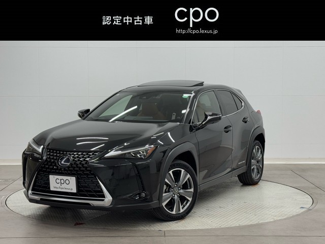 UX300e バージョンL