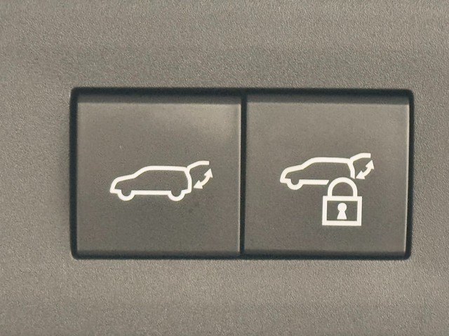 レクサス NX350h VER-L