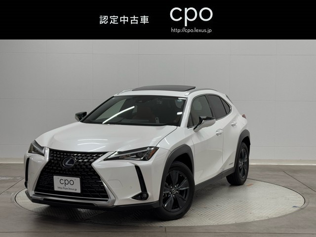 UX250h ブラウンエディション