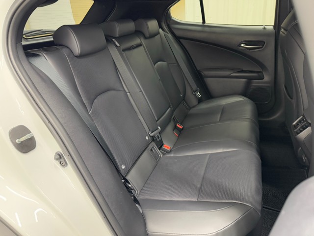 レクサス UX300h F SPORT