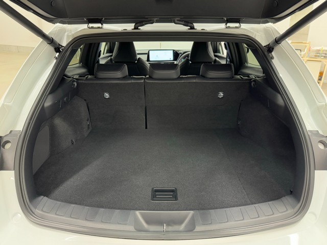 レクサス UX300h F SPORT