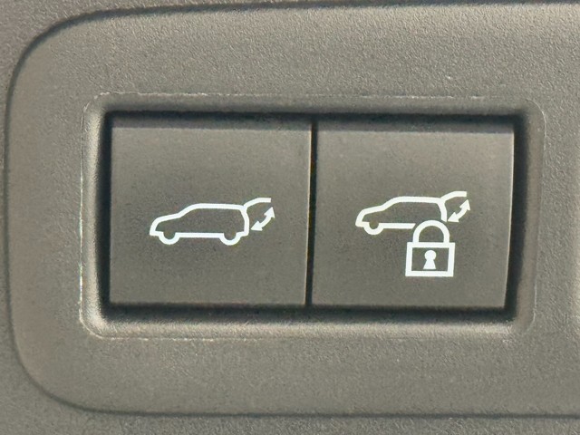 レクサス UX300h F SPORT