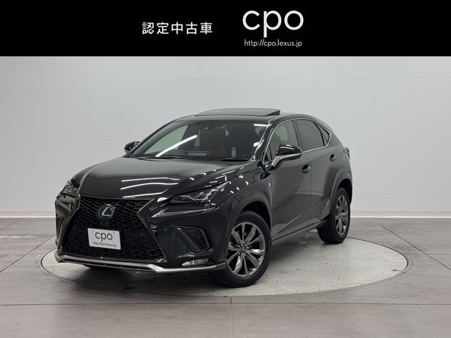 NX300 F SPORT