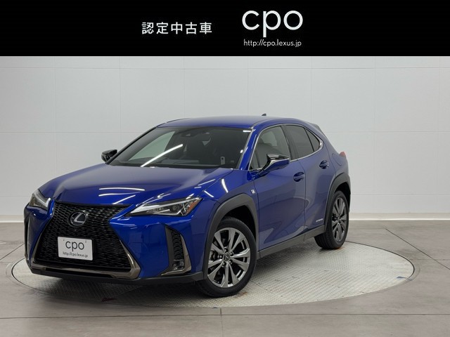 UX250h F SPORT