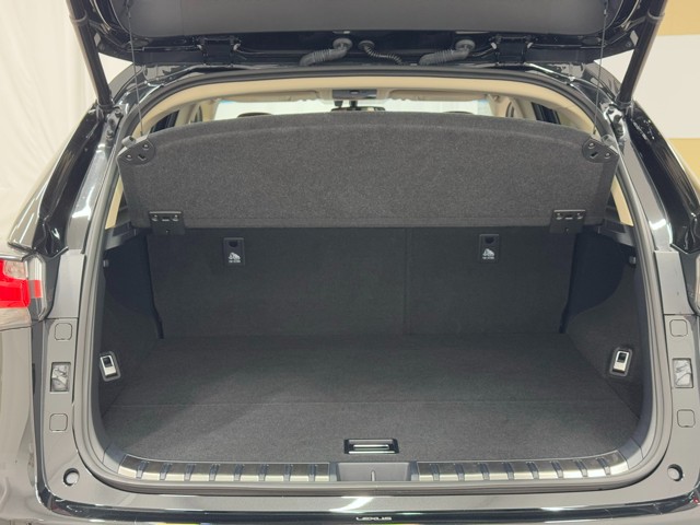 レクサス NX200t バージョンL