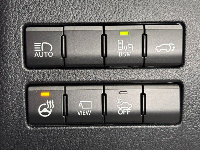 レクサス NX300h FSPORT