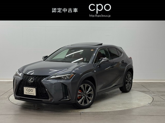 UX300h F SPORT