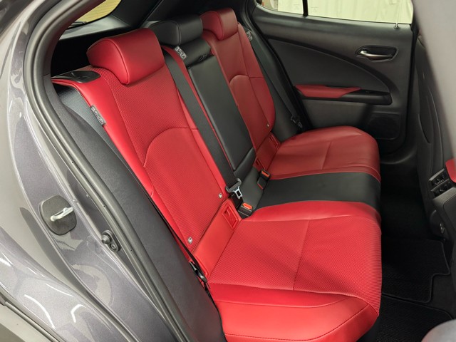 レクサス UX300h F SPORT