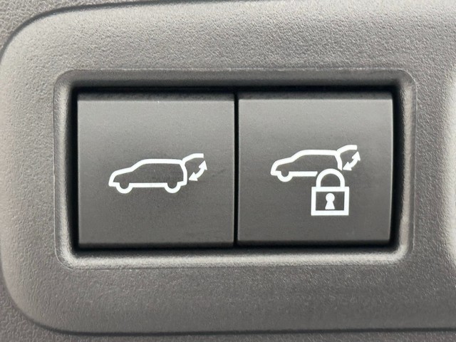 レクサス UX250h Fスポーツ