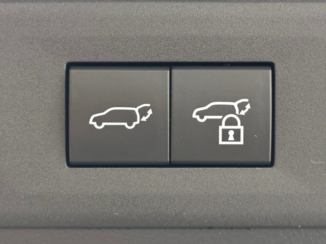 レクサス NX250 バージョンL