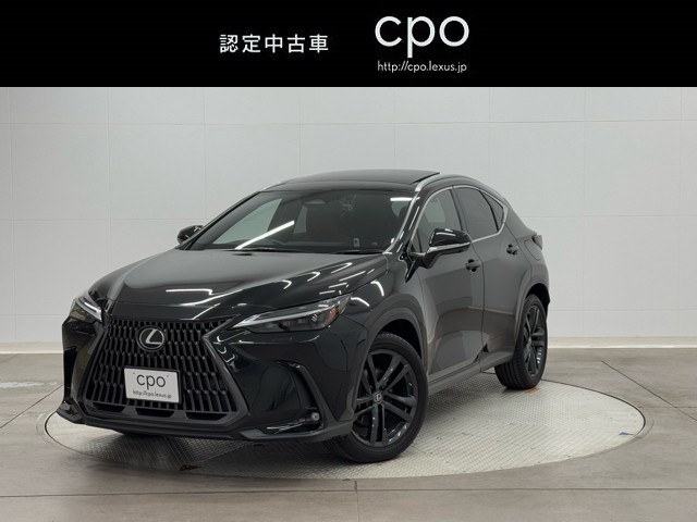 NX250 バージョンL