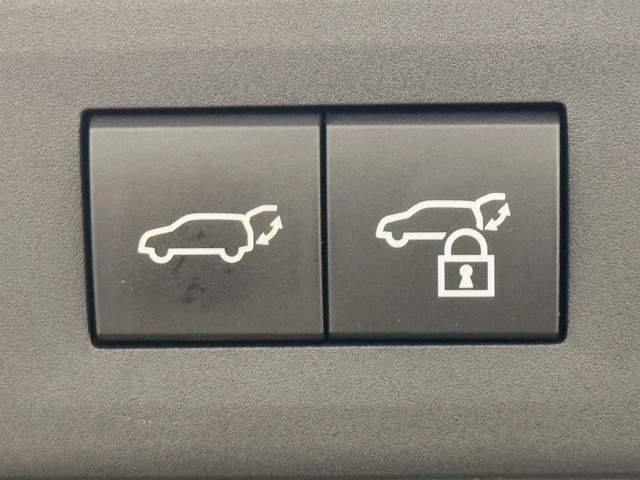 レクサス NX250 バージョンL