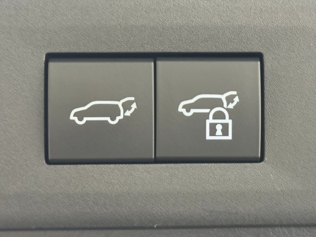 レクサス NX350h F SPORT