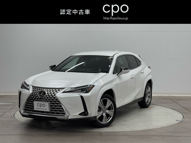 UX250h Graceful Expl