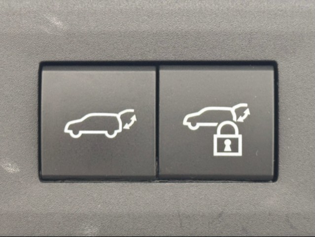 レクサス NX350h FSPORT