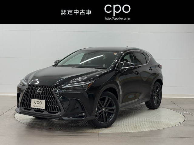 NX350h VER-L