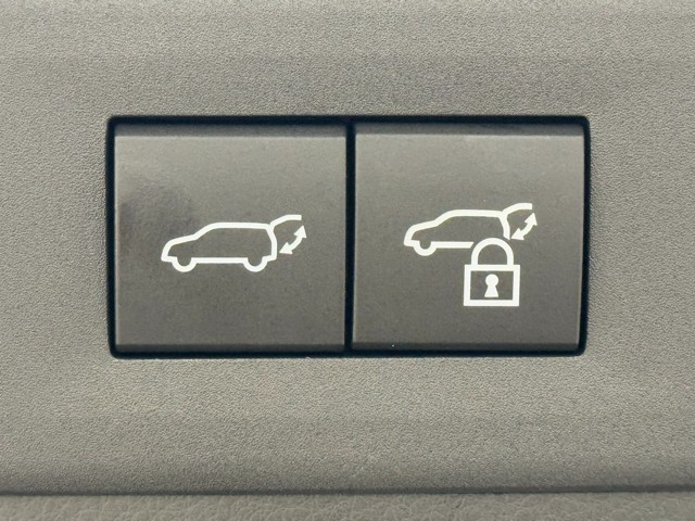 レクサス NX350h VER-L