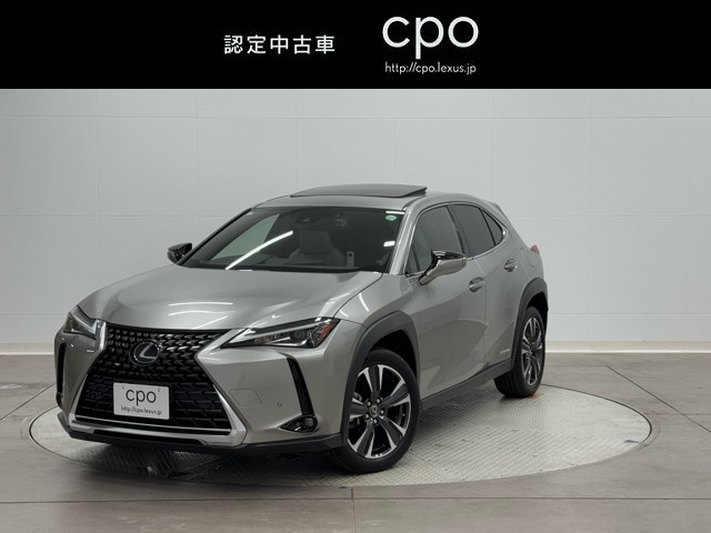 UX250h バージョンC