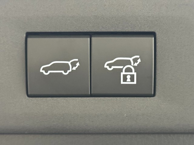 レクサス NX250 バージョンL