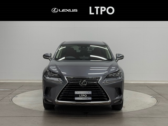 レクサス NX300 I-PKG