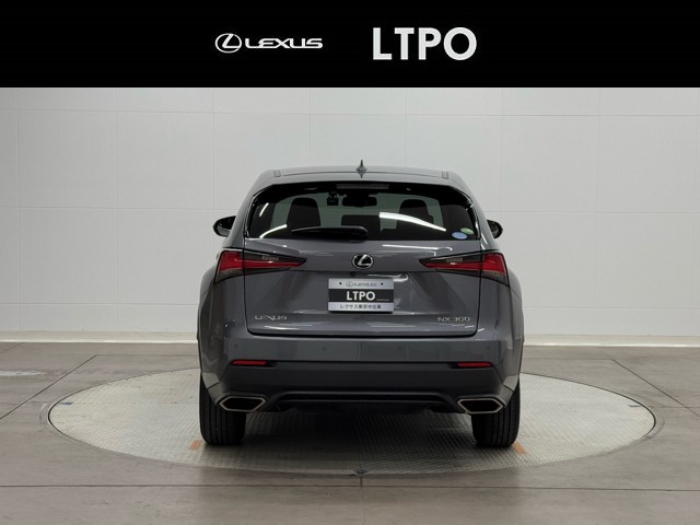 レクサス NX300 I-PKG