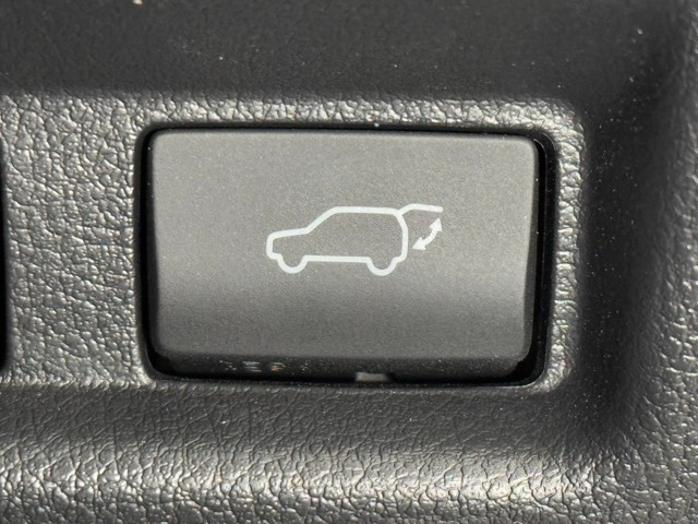 レクサス UX300h F SPORT