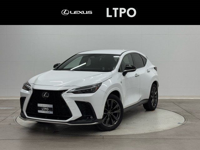 NX350h FSPORT
