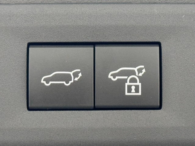 レクサス NX350h FSPORT