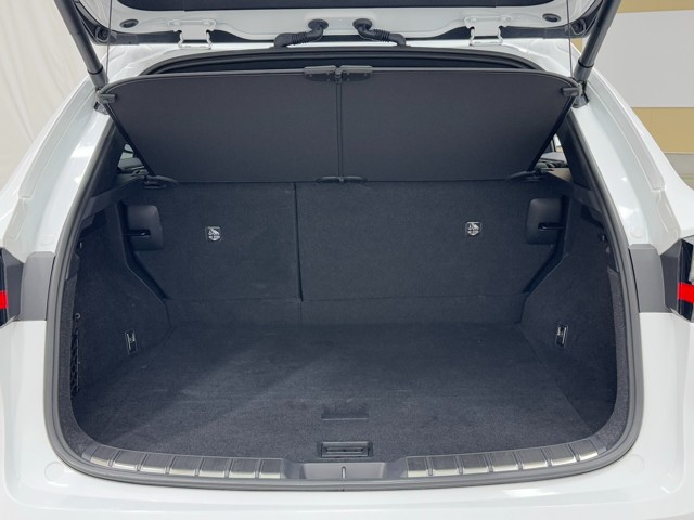レクサス NX350h FSPORT