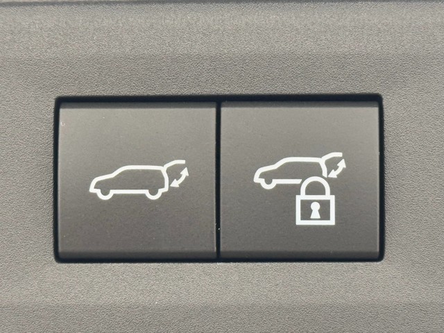 レクサス NX350h F SPORT