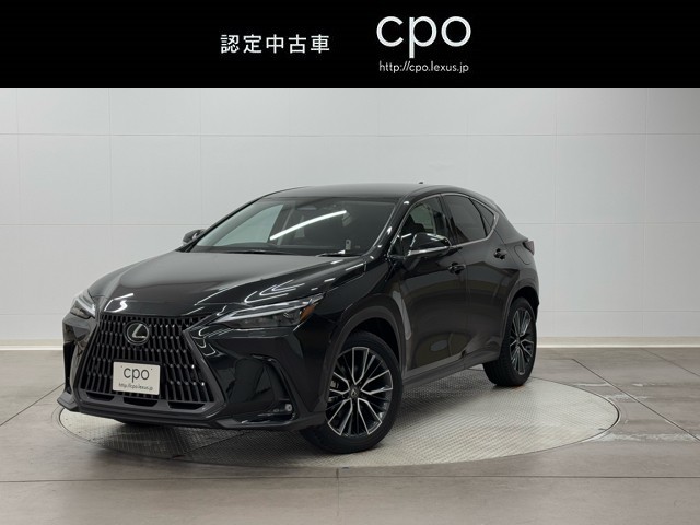NX350h Ver-L