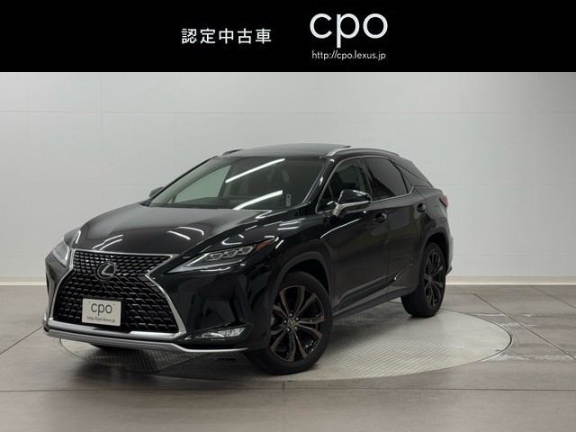 RX300 バージョンL