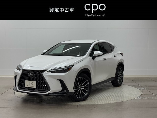 NX350h Ver-L