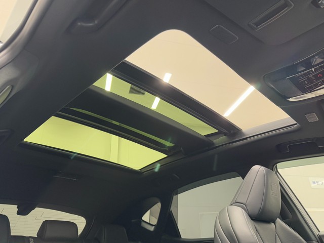 レクサス NX350h F SPORT