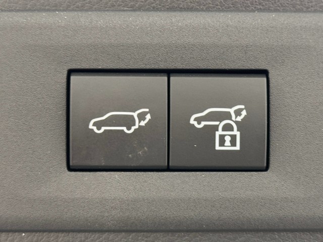 レクサス NX350h F SPORT