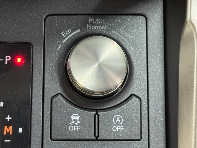 レクサス NX300 I-PKG